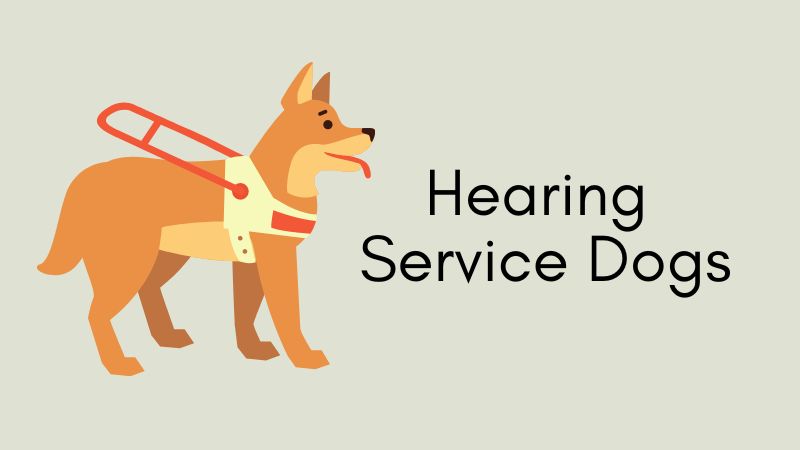Hearing Service Dogs