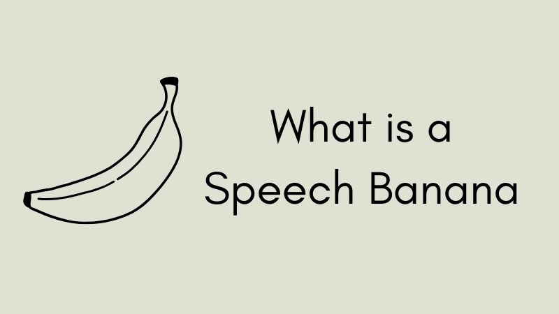 What is a Speech Banana?